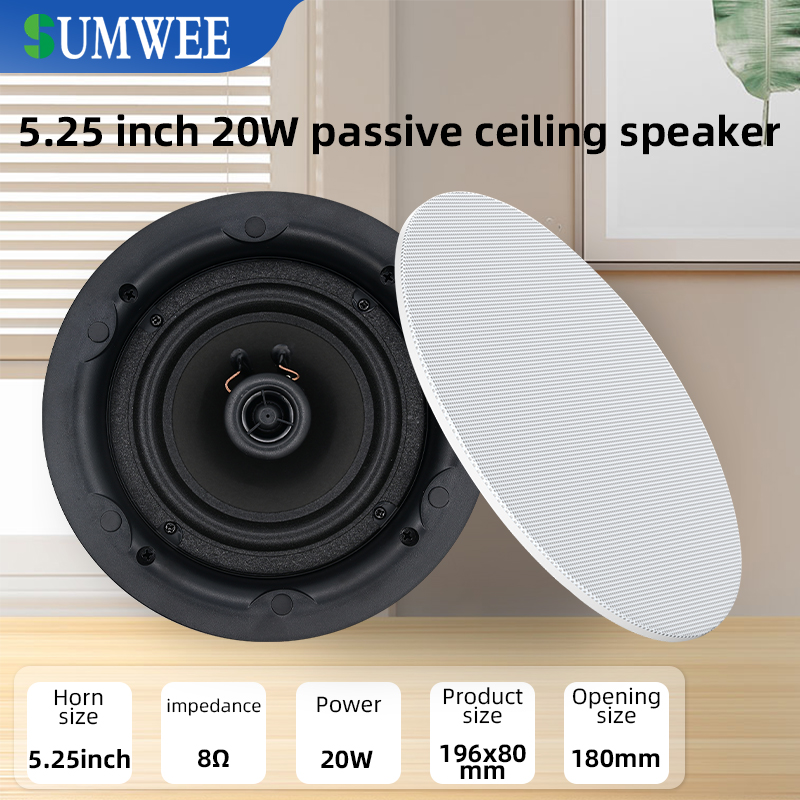 Audio Music Background Free - Haut-parleur de plafond coaxial de 5.25
