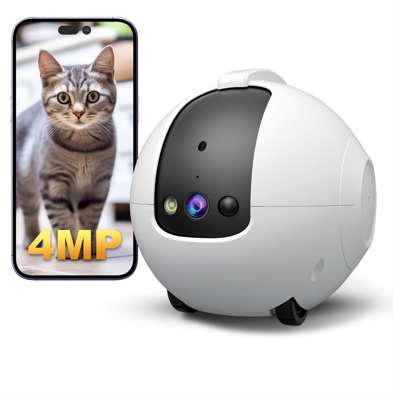 Audio & Music Settings Xbox One - Caméra robot pour animaux de compagnie