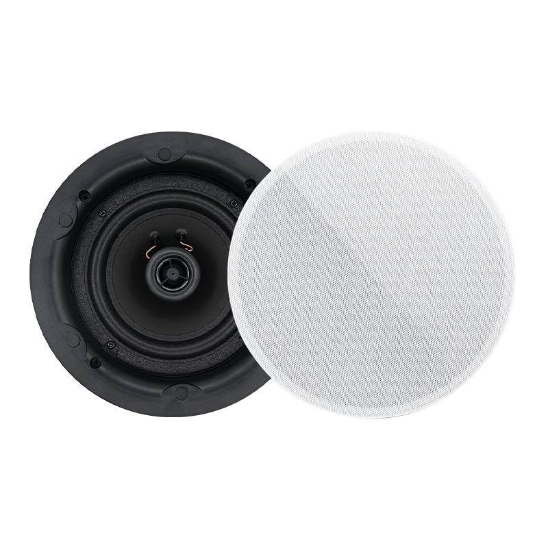 Haut-parleur de plafond coaxia - Audio Music Background Free avis et prix